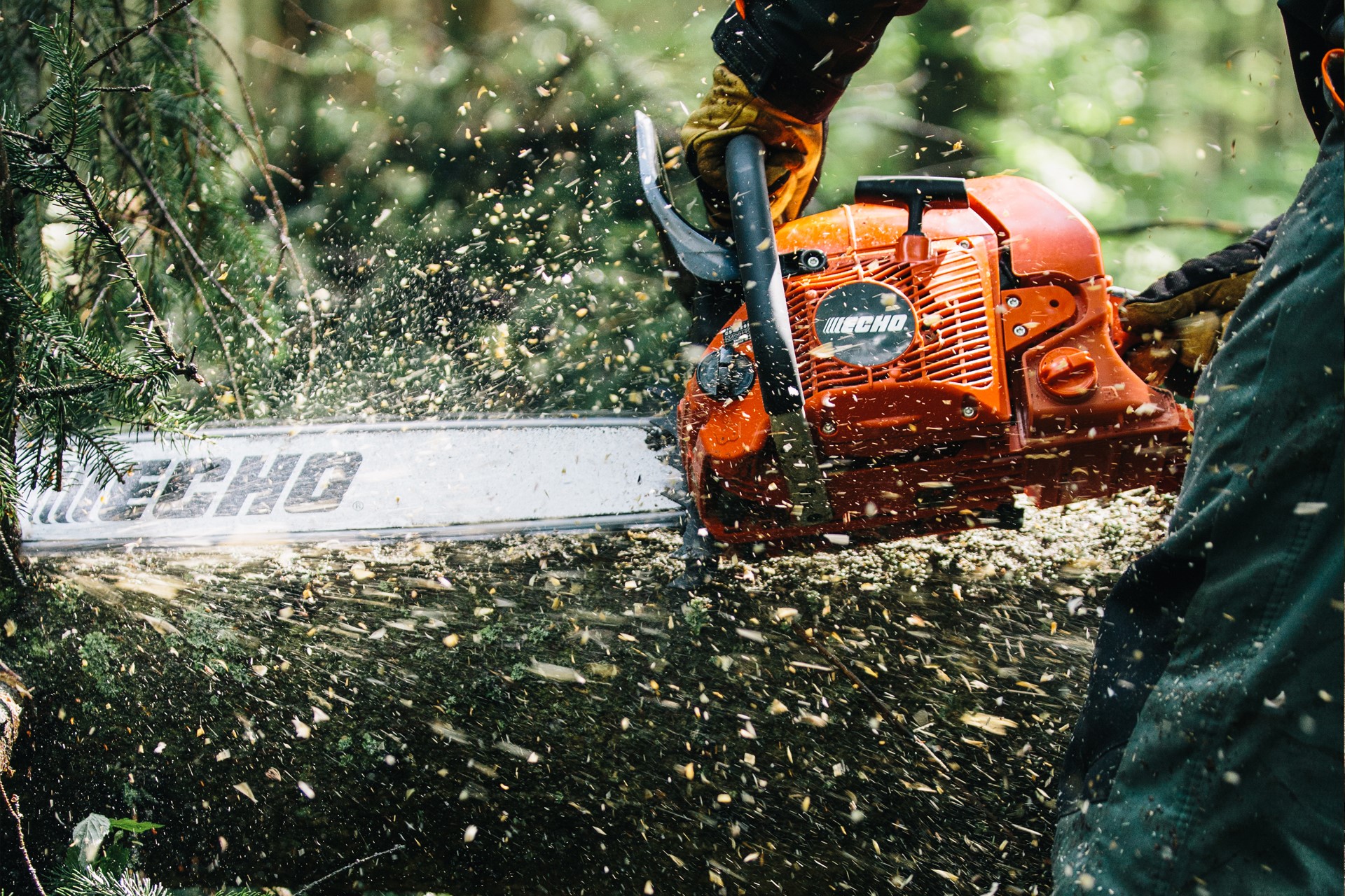 Header_v2_echo_chainsaw